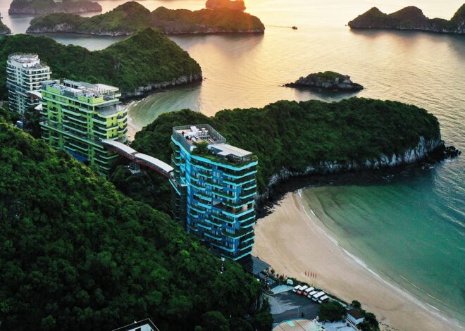 Top 5 Đặc Sản Vịnh Lan Hạ Nhất Định Phải Thử Khi Du Lịch