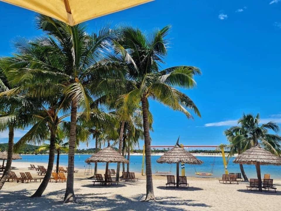 Nên Đến Du Lịch Đồ Sơn Vào Thời Điểm Nào Trong Năm?