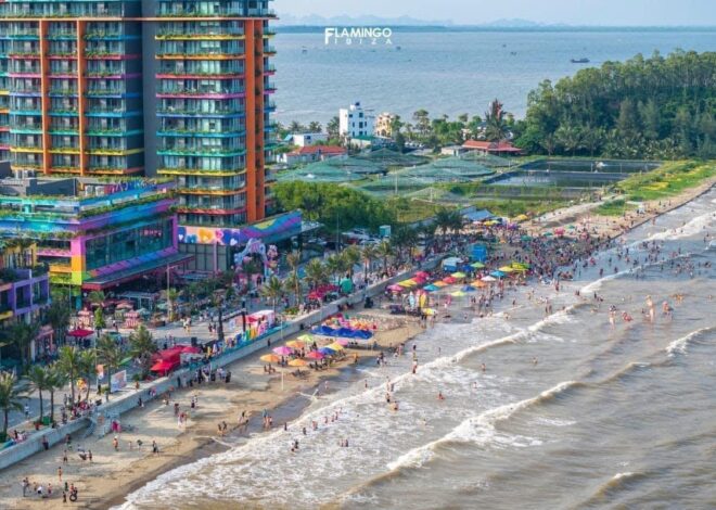 Lịch Trình Khám Phá Flamingo Hải Tiến 3 Ngày 2 Đêm