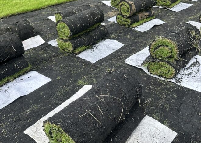 thi công cảnh quan, sân vườn, và chăm sóc cây xanh.