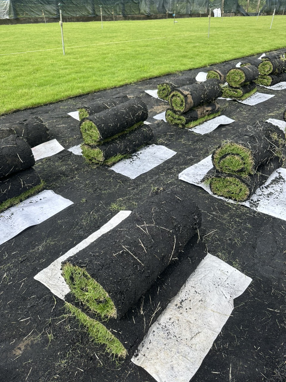 thi công cảnh quan, sân vườn, và chăm sóc cây xanh.